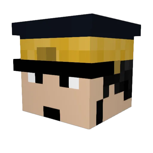 Ara5aka Minecraft avatar head, 3D render