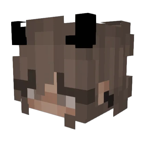 AraArabella Minecraft avatar head, 3D render