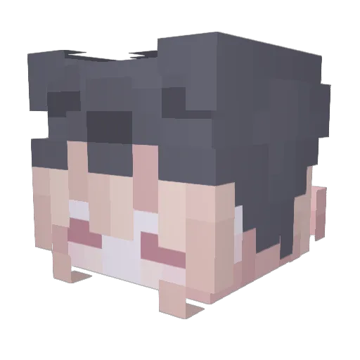 AraFaeii Minecraft avatar head, 3D render
