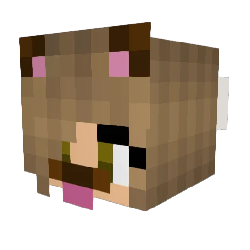 AraFloOder4H Minecraft avatar head, 3D render