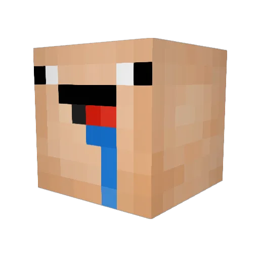 AraKi19 Minecraft avatar head, 3D render