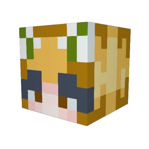 AraLarit Minecraft avatar head, 3D render