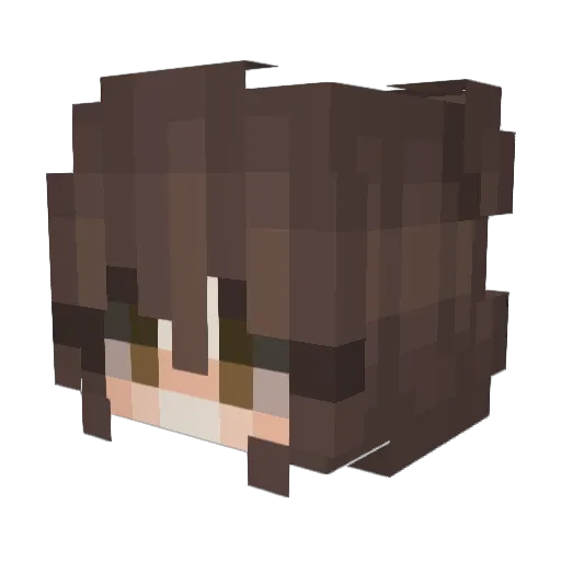 AraNova Minecraft avatar head, 3D render