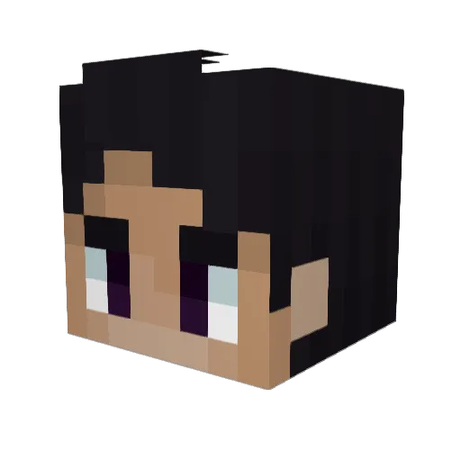 AraSenpai__ Minecraft avatar head, 3D render