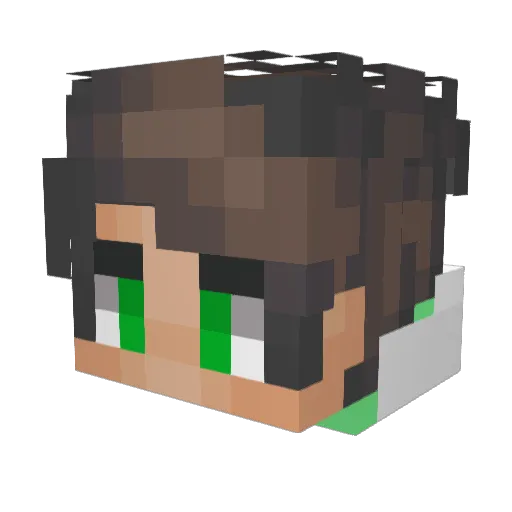 Ara_270 Minecraft avatar head, 3D render