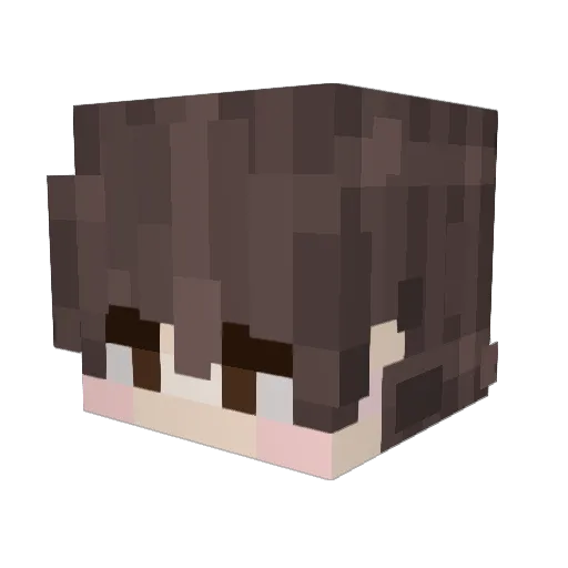 Ara__24 Minecraft avatar head, 3D render