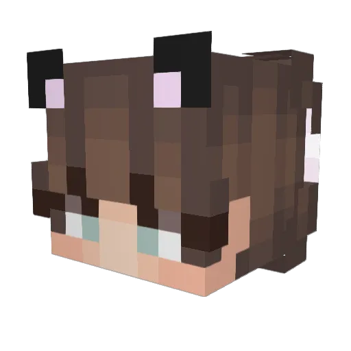 Arabian_Creeper Minecraft avatar head, 3D render
