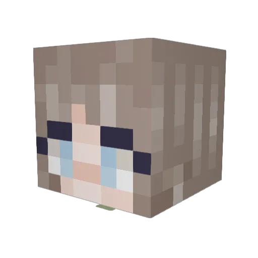 Aracelas Minecraft avatar head, 3D render