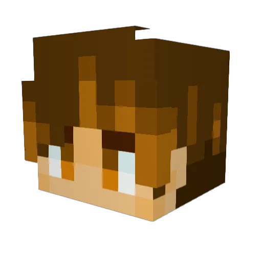 Aracin3 Minecraft avatar head, 3D render