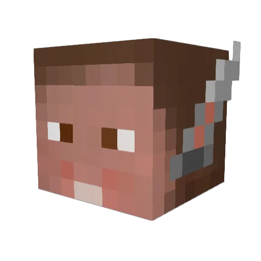 Arafra Minecraft avatar head, 3D render