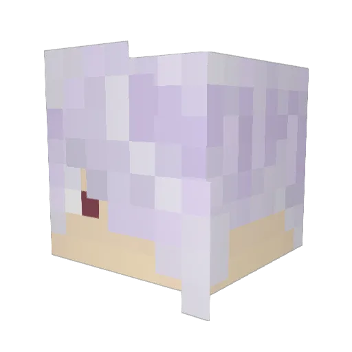Aragnot Minecraft avatar head, 3D render