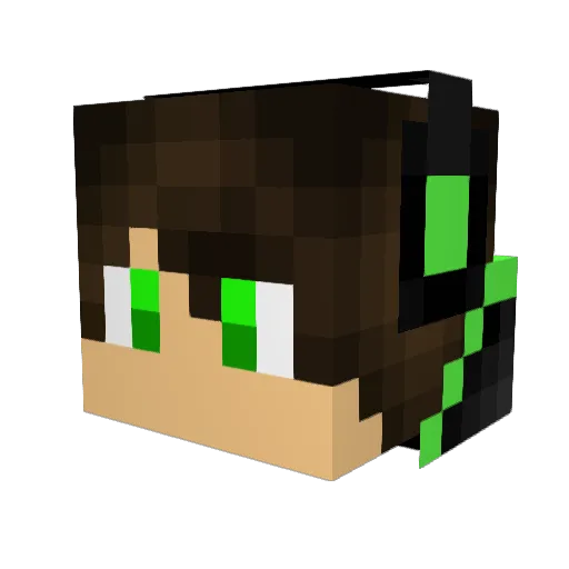 Aragog14 Minecraft avatar head, 3D render