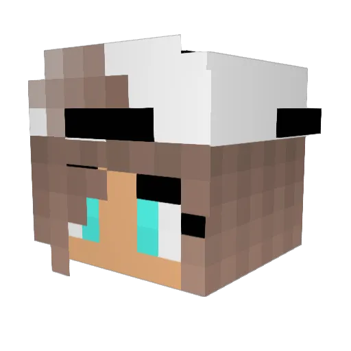 Aragorn009 Minecraft avatar head, 3D render