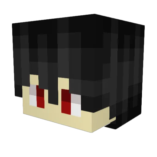 Aragorn0812 Minecraft avatar head, 3D render