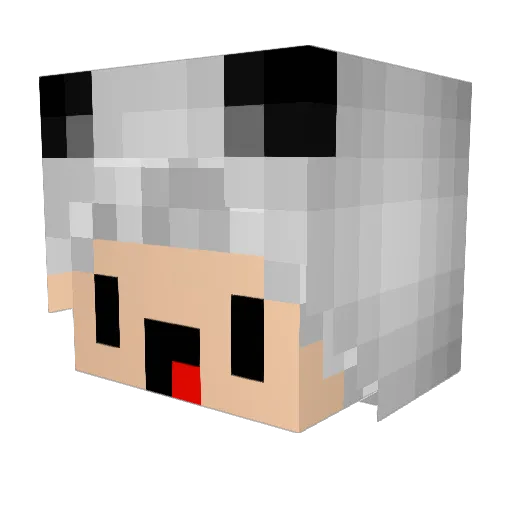 AraiWaaa Minecraft avatar head, 3D render