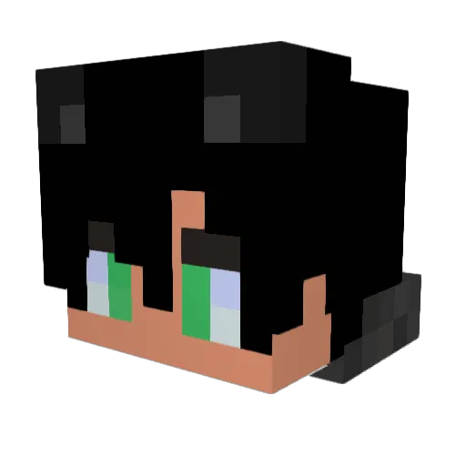 Araigumma Minecraft avatar head, 3D render