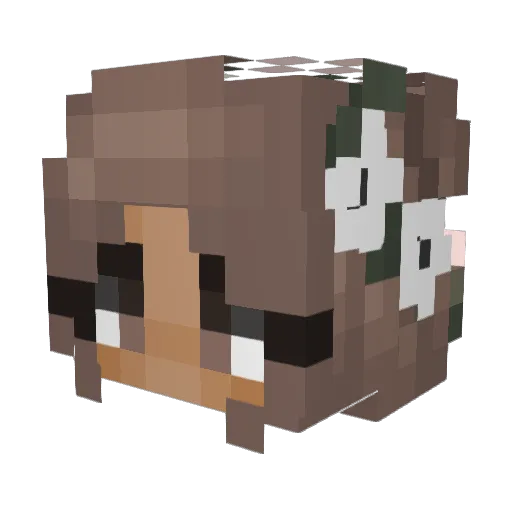 Aralix Minecraft avatar head, 3D render