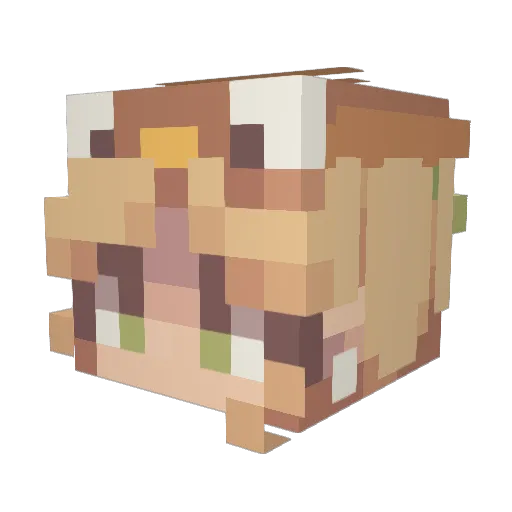 Aralorne Minecraft avatar head, 3D render