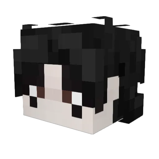 Aran1D_ Minecraft avatar head, 3D render