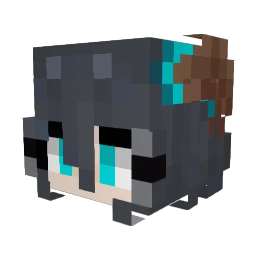 Aranyl Minecraft avatar head, 3D render