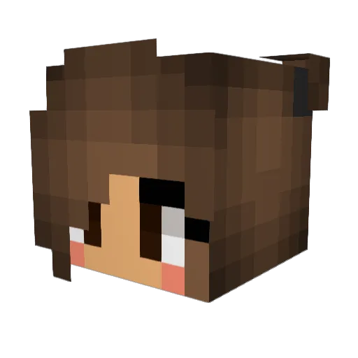 AranzaMgon Minecraft avatar head, 3D render