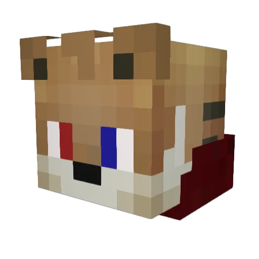 Araphs Minecraft avatar head, 3D render