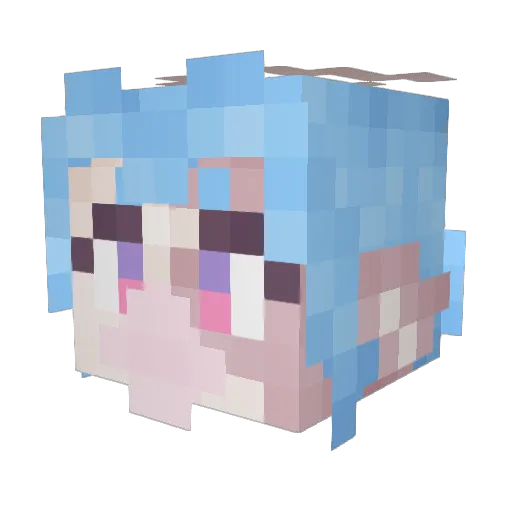 Arara_Vari Minecraft avatar head, 3D render
