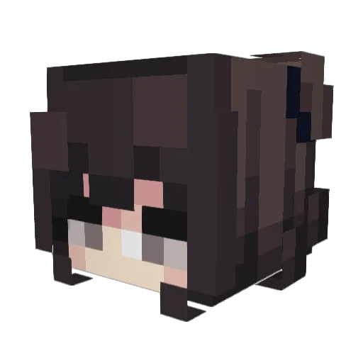Araraie Minecraft avatar head, 3D render