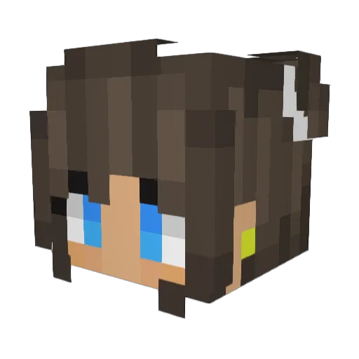 Aras0303 Minecraft avatar head, 3D render