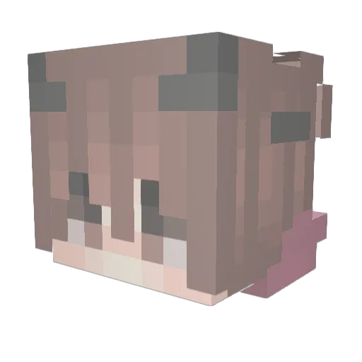 ArashiShade Minecraft avatar head, 3D render
