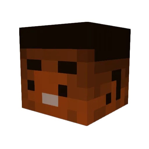 Arashi_0 Minecraft avatar head, 3D render