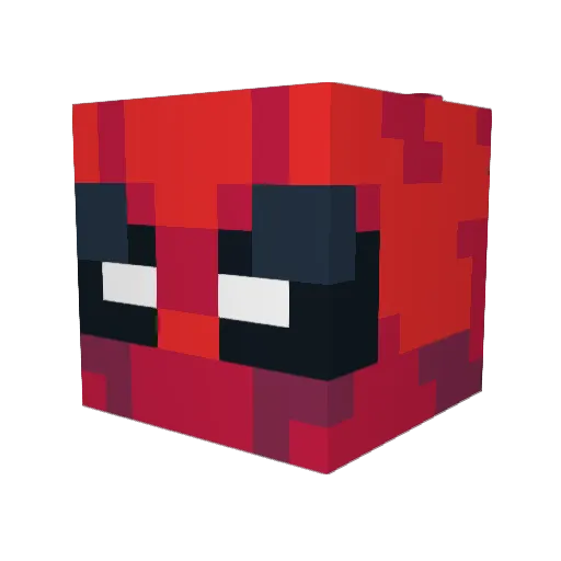 Arashi_Kuro Minecraft avatar head, 3D render