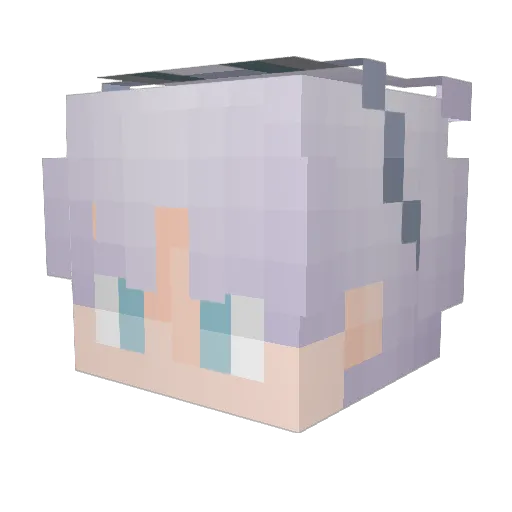 Arashi_owo Minecraft avatar head, 3D render