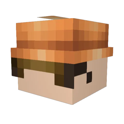 Arashime01 Minecraft avatar head, 3D render