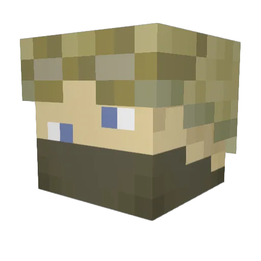 Arashish Minecraft avatar head, 3D render
