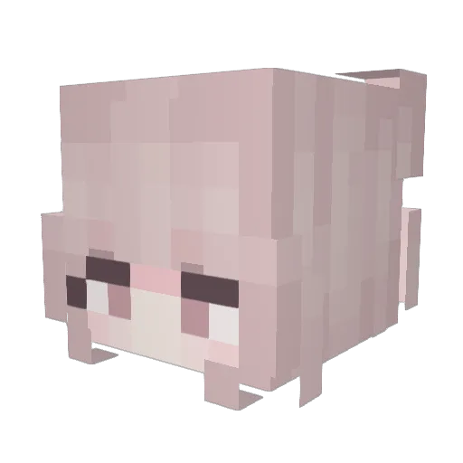 Arashiwi Minecraft avatar head, 3D render