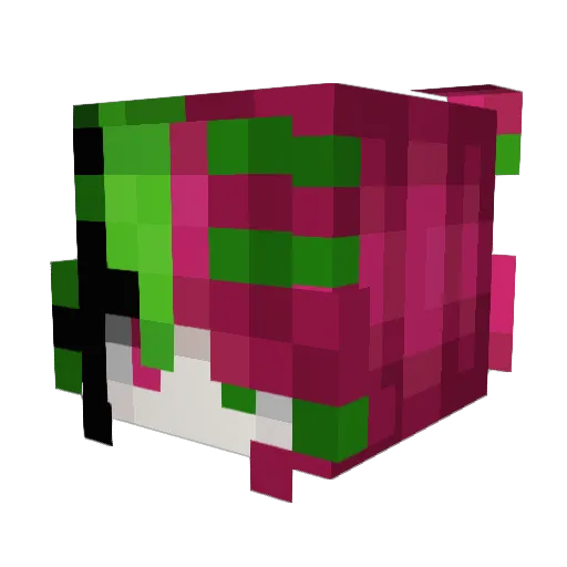 Aratastic Minecraft avatar head, 3D render