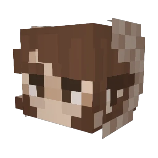 Arauu Minecraft avatar head, 3D render