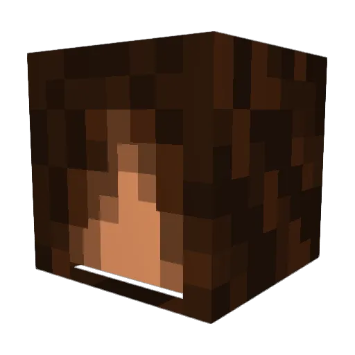 Arayel Minecraft avatar head, 3D render