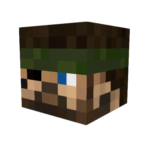 Arbiter1209 Minecraft avatar head, 3D render