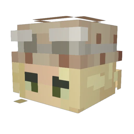 Arbok_XoX Minecraft avatar head, 3D render