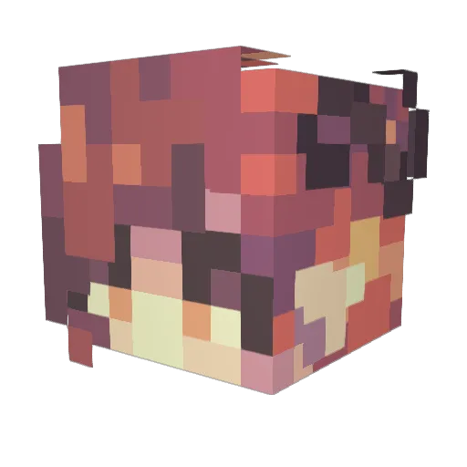 Arbrika Minecraft avatar head, 3D render
