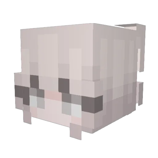 Arbuzik2 Minecraft avatar head, 3D render