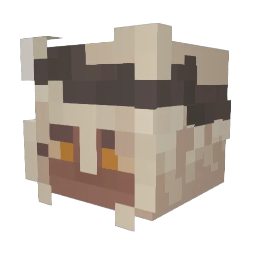 Arbyburger Minecraft avatar head, 3D render