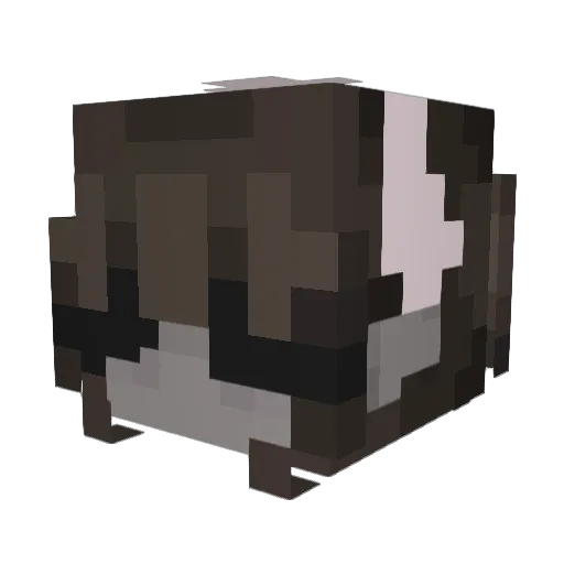 Arc44_ Minecraft avatar head, 3D render
