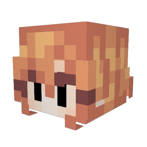 ArcAlloy Minecraft avatar head, 3D render