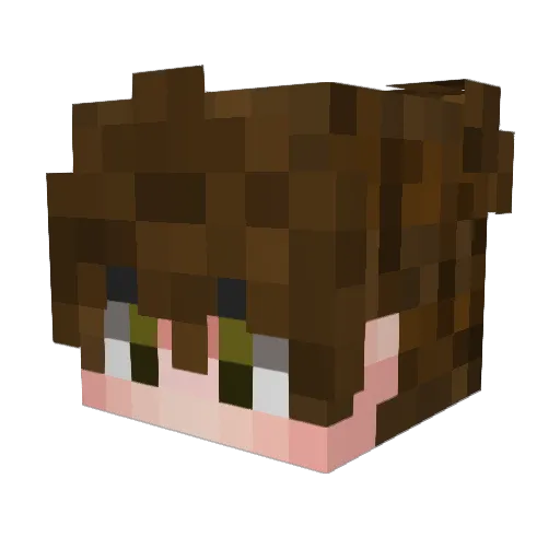 ArcToArctvrvs Minecraft avatar head, 3D render