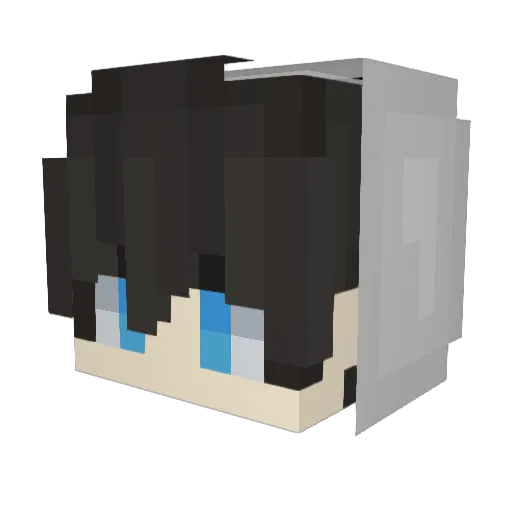 Arcade2112 Minecraft avatar head, 3D render