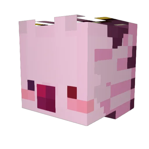 ArcadeGl1tch Minecraft avatar head, 3D render