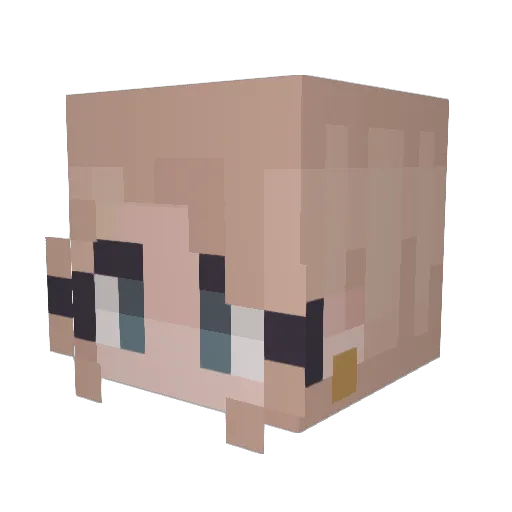 Arcadia1707 Minecraft avatar head, 3D render